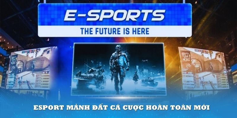 Esport mảnh đất cá cược hoàn toàn mới